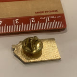 Aids Housing of Washington Logo Lapel Hat Pin AV