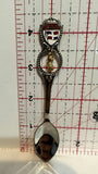 Republica Dominicana Pineapple Flag Souvenir Spoon