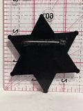 Junior Police Transit Police Department Star  Button Pinback