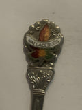 Wallaceburg Ontario Maple Leaf Souvenir Spoon