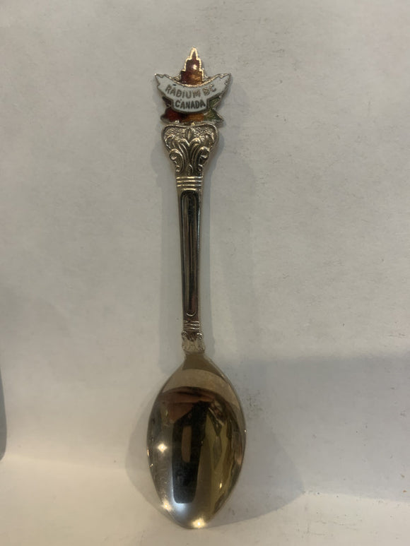 Radium BC Canada Souvenir Spoon