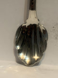 Albany New York  Souvenir Spoon