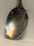 Hawaii Palm Tree Souvenir Spoon