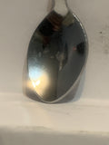 City of Winnipeg Coat of Arms Manitoba Souvenir Spoon