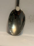 Death Valley California Souvenir Spoon