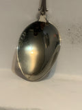 Municipality of Rosedale Manitoba Souvenir Spoon