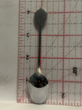 Torrington Alberta Wild Rose Souvenir Spoon
