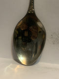 Dreamworld Australia Souvenir Spoon