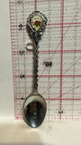Edmonton Alberta Wild Rose Souvenir Spoon