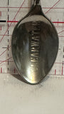 Clearwater British Columbia Goose Souvenir Spoon
