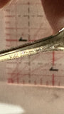 Clearwater British Columbia Goose Souvenir Spoon
