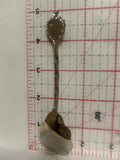 Living Desert Reserve Palm Deseret California Souvenir Spoon