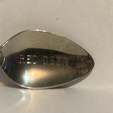 Red Deer Alberta 75th  Collectable Souvenir Spoon CO