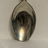 Kauai Garden Isle Collectable Souvenir Spoon CO