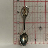 Aloha from Hawaii Pineapple Collectable Souvenir Spoon CO