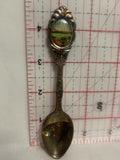 Wildflowers of Texas Souvenir Spoon