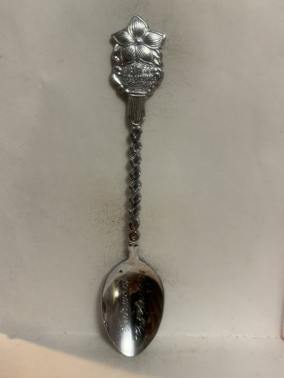 Fairmont Hot Springs British Columbia Dogwood Souvenir Spoon