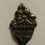 Vernon BC Dogwood Flower British Columbia Collectable Souvenir Spoon CP