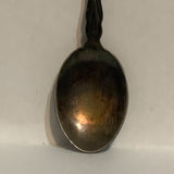 Vernon BC Dogwood Flower British Columbia Collectable Souvenir Spoon CP