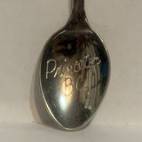 Princeton BC Totem Pole British Columbia Collectable Souvenir Spoon CQ