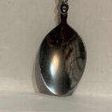 Edmonton Alberta Wild Rose Flower Collectable Souvenir Spoon CQ