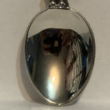 Roma Rome Ruins Collectable Souvenir Spoon CQ