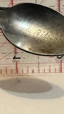 Maple Ridge Alberta Wild Rose  Souvenir Spoon