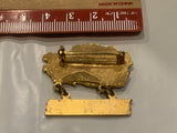 Honolulu 1976 Canada Lions Club Lapel Hat Pin CD