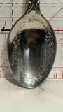 Rogers Pass British Columbia Souvenir Spoon