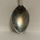 Florida Sunshine State Palm Tree Collectable Souvenir Spoon CT