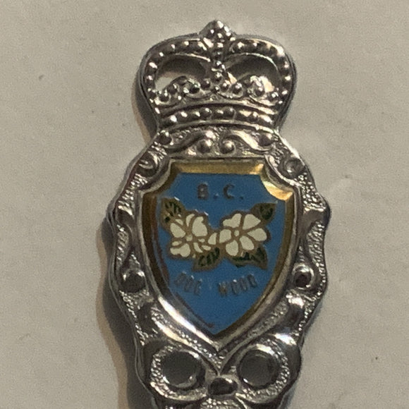 Abbobsford British Columbia Collectable Souvenir Spoon CT