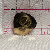 Minor Baseball Association Red Deer Glove  Lapel Pin