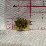 St Albert Flag Alberta  Lapel Pin