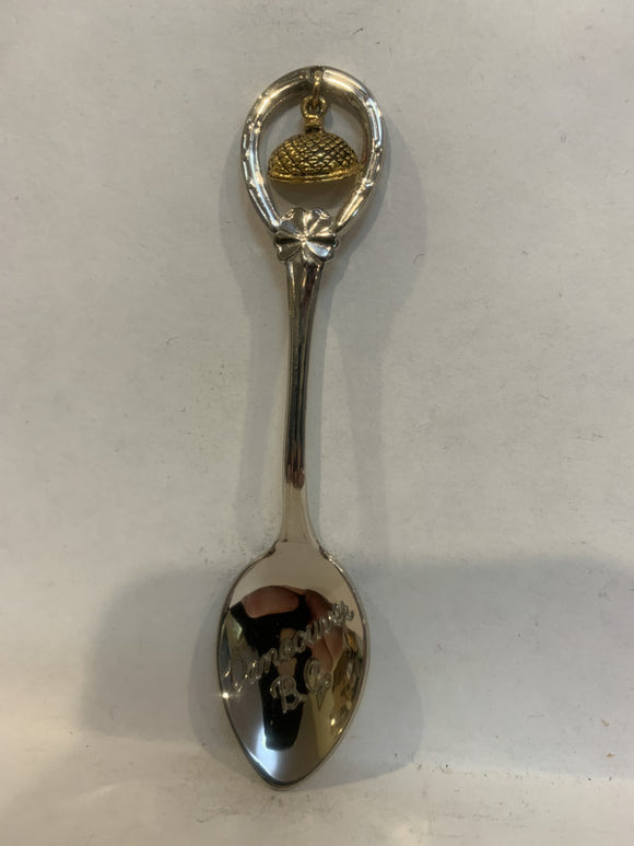 Vancouver BC Dome Souvenir Spoon