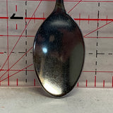 South Dakota Bison Souvenir Spoon NQ