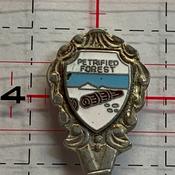 Petrified Forest NR Souvenir Spoon