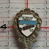 Petrified Forest NR Souvenir Spoon