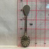 Petrified Forest NR Souvenir Spoon