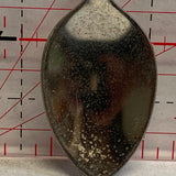 Kentucky Horse  NT Souvenir Spoon