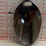 Ohio Bird NT Souvenir Spoon