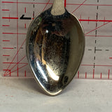 Golden Boy Winnipeg Mascot Manitoba NU Souvenir Spoon