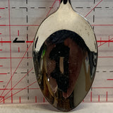 Lion Country Safari NW Souvenir Spoon