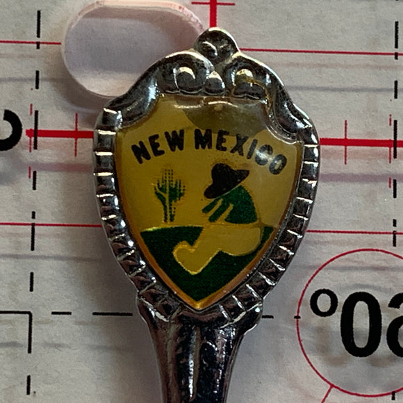 New Mexico Desert NW Souvenir Spoon