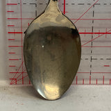 Orlando Florida NW Souvenir Spoon