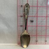 Orlando Florida NW Souvenir Spoon