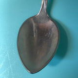 Nova Scotia Crest Emblem Souvenir Spoon